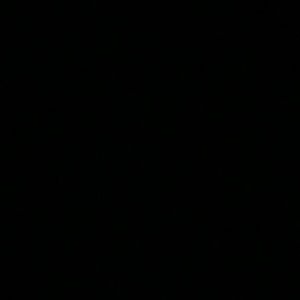 Meet your Posher, Ron